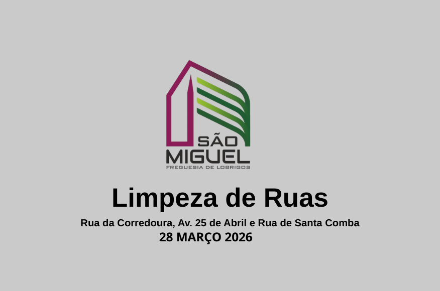 Limpeza de Ruas