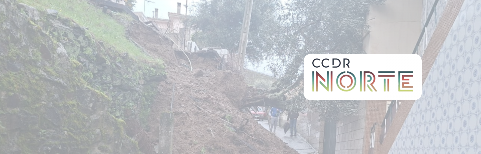 Declara&ccedil;&atilde;o de preju&iacute;zos